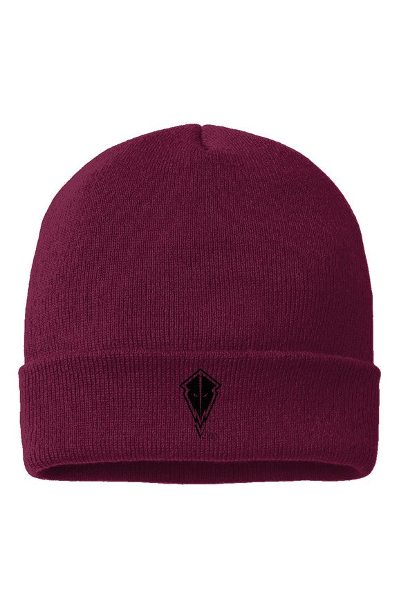 V-Mo by Delonzo Arman Cuffed Beanie (black)